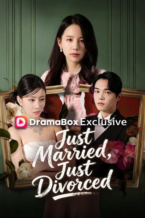 Just Married, Just Divorced poster