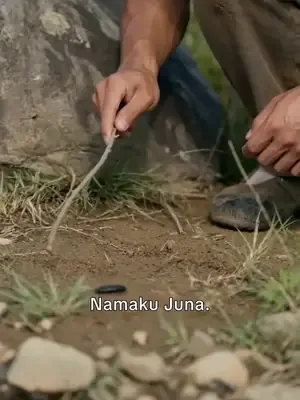 Kaan'ın mutlu dönüşü afişi