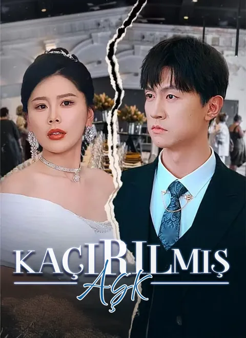 Kaçırılmış Aşk afişi
