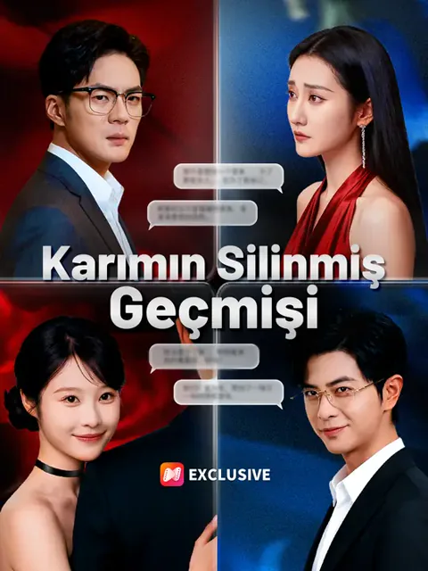 Karımın Silinmiş Geçmişi afişi