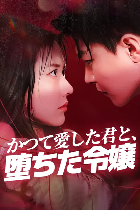 かつて愛した君と、堕ちた令嬢のポスター