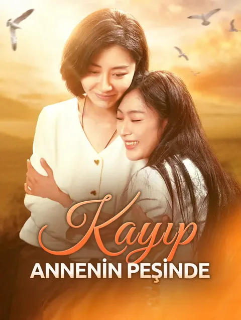 Kayıp Annenin Peşinde afişi