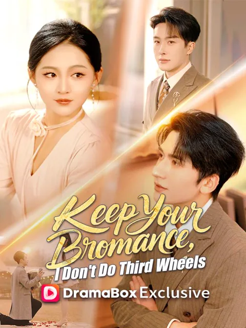 Keep Your Bromance, I Don't Do Third Wheels poster