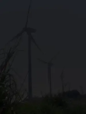 Kelebek dövmesi aşkı afişi
