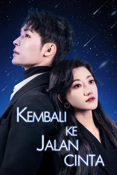 Poster Kembali ke Jalan Cinta