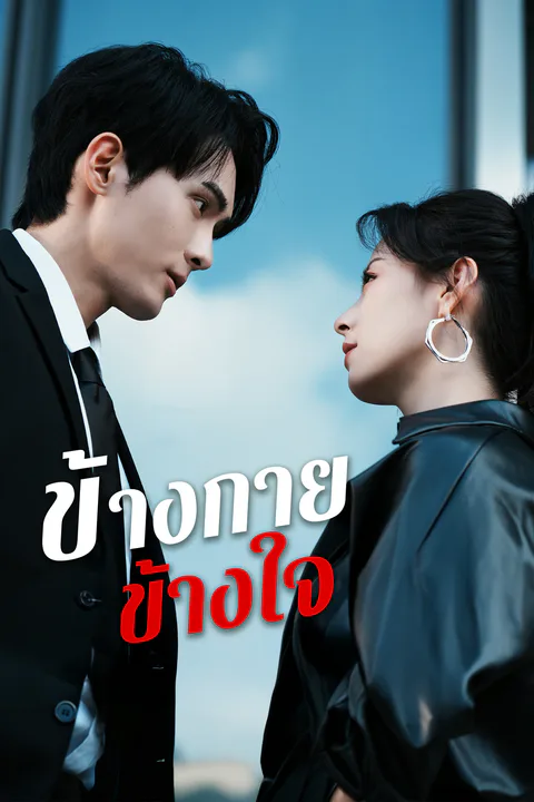 โปสเตอร์ ข้างกายข้างใจ