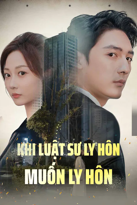 Poster Khi luật sư ly hôn muốn ly hôn