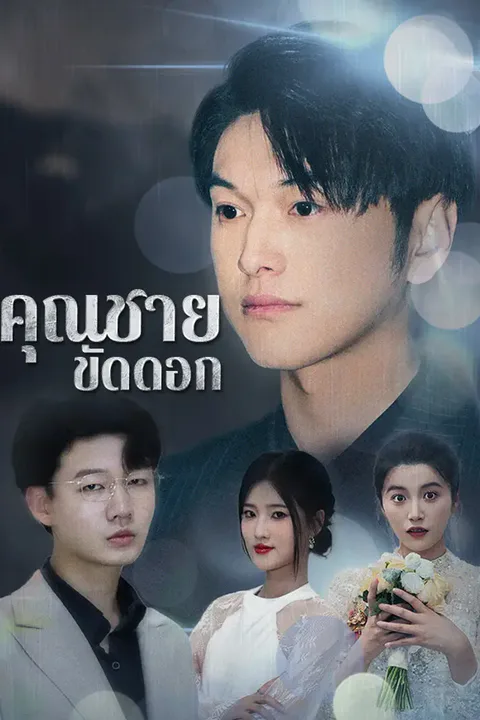 โปสเตอร์ คุณชายขัดดอก