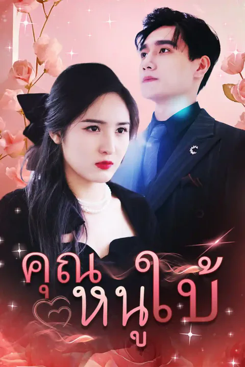 โปสเตอร์ คุณหนูใบ้
