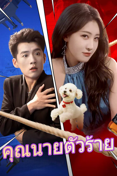 โปสเตอร์ คุณนายตัวร้าย