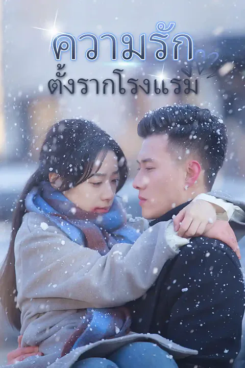 โปสเตอร์ ความรักตั้งรากโรงแรม