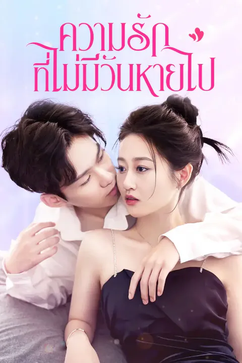 โปสเตอร์ ความรักที่ไม่มีวันหายไป