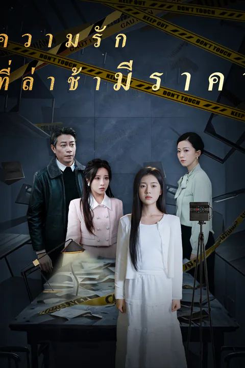 โปสเตอร์ ความรักที่ล่าช้ามีราคา