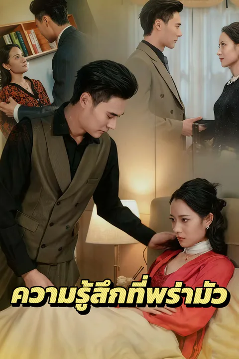โปสเตอร์ ความรู้สึกที่พร่ามัว