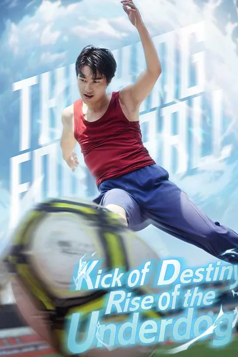 Kick of Destiny: Rise of the Underdog poster