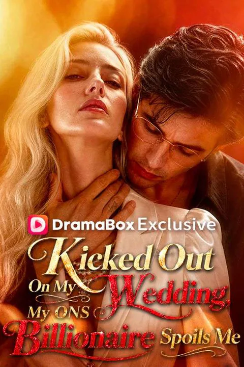 Kicked Out On My Wedding, My ONS Billionaire Spoils Me poster