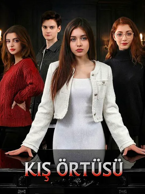Kış Örtüsü afişi