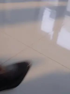 Kızdırmayın: Gerçek Mirasçı Kız afişi
