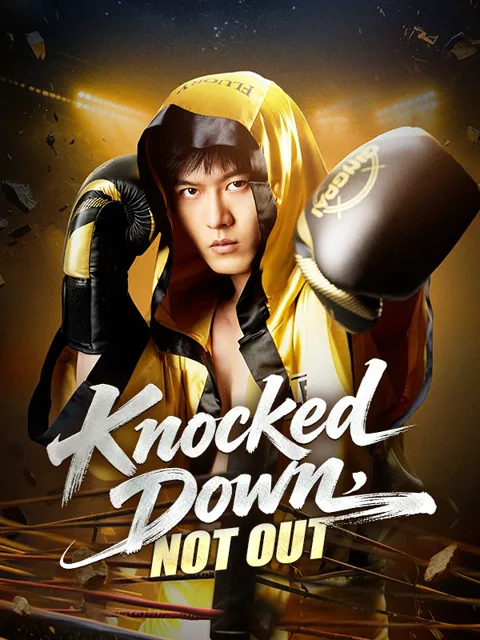 Knocked Down, Not Out poster