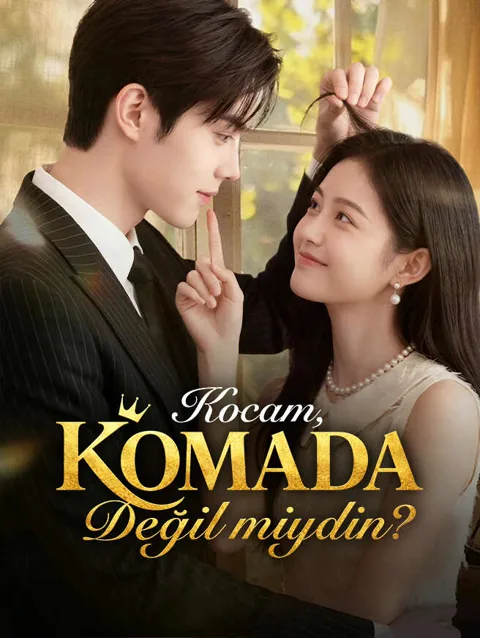 Kocam, Komada Değil miydin? afişi