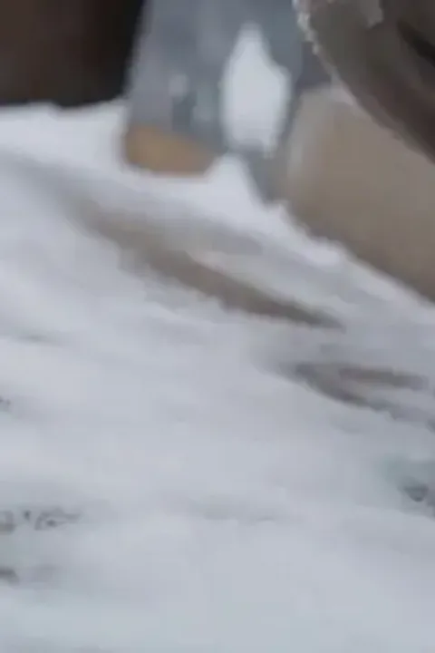 Komadan uyanan avcı kazanıyor afişi