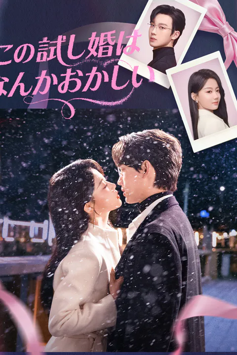この試し婚はなんかおかしいのポスター