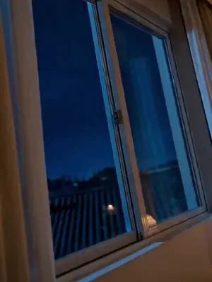 Konuşan malikaneyi kurtarmak afişi