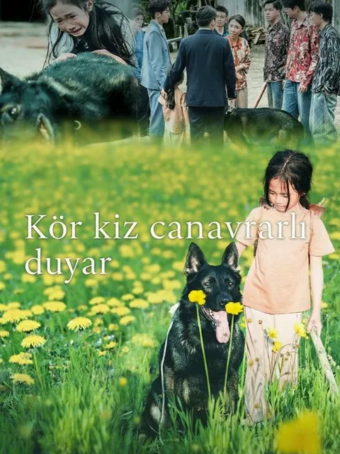 Kör kız canavarları duyar afişi