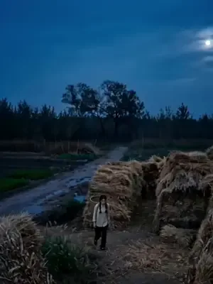 Kovulan gelin köyün zengini afişi