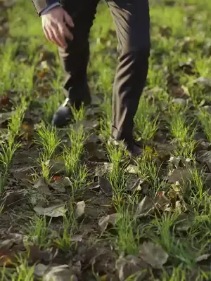 Köyde Bulduğum Milyarder afişi