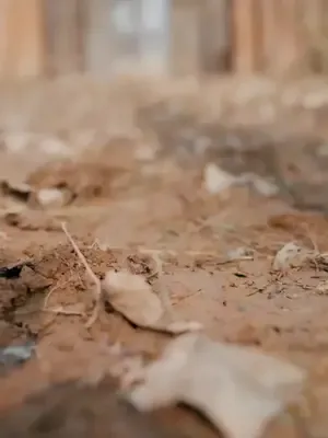 Köyü kurtaran iki dünya gezgini afişi