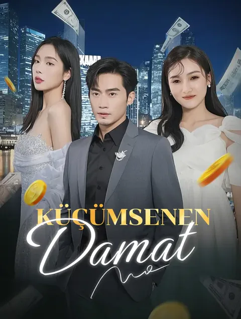 Küçümsenen Damat afişi