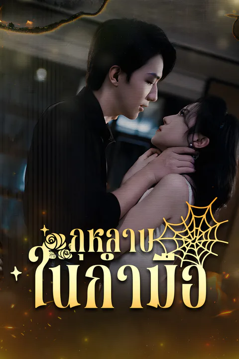 โปสเตอร์ กุหลาบในกำมือ