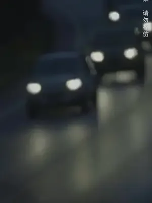 Kutsal Kralın Dönüşü afişi