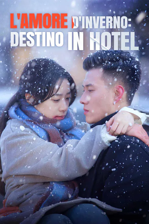Locandina di L'amore d'inverno: Destino in hotel