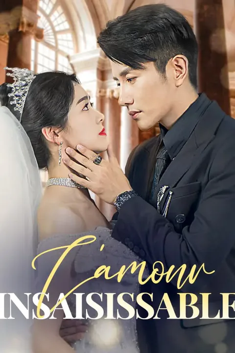 Affiche de L'amour insaisissable