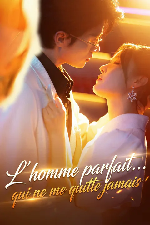 Affiche de L’homme parfait… qui ne me quitte jamais