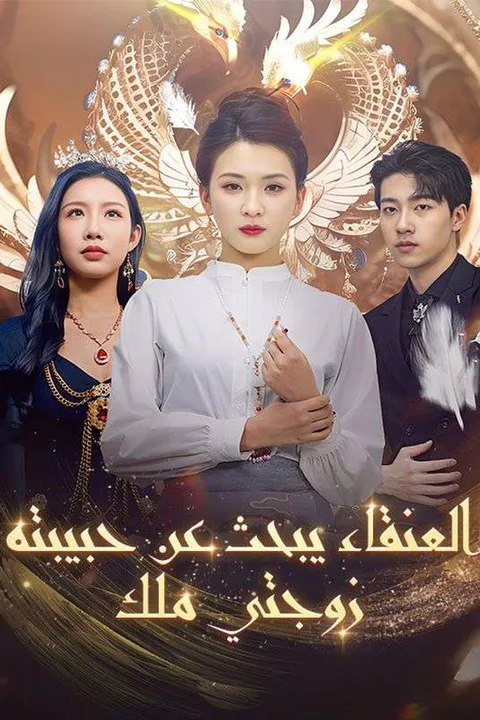 ملصق العنقاء يبحث عن حبيبته: زوجتي ملك