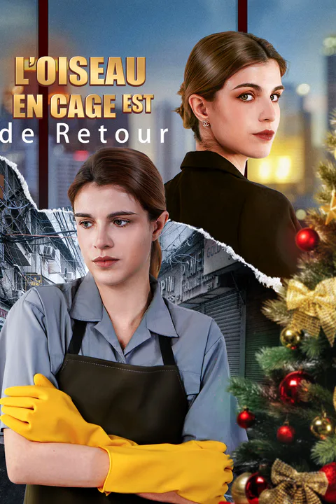 Affiche de L’Oiseau en Cage est de Retour