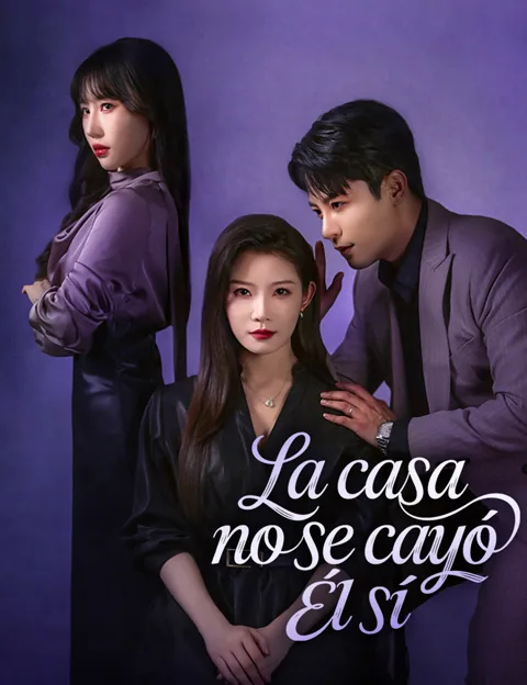 Póster de La casa no se cayó, él sí
