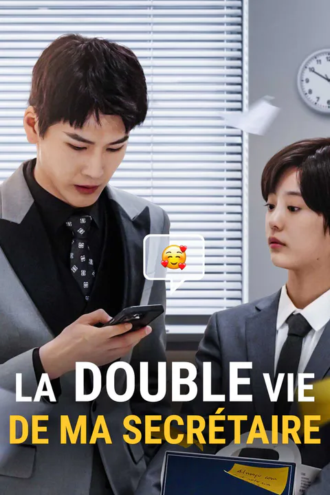 Affiche de La double vie de ma secrétaire