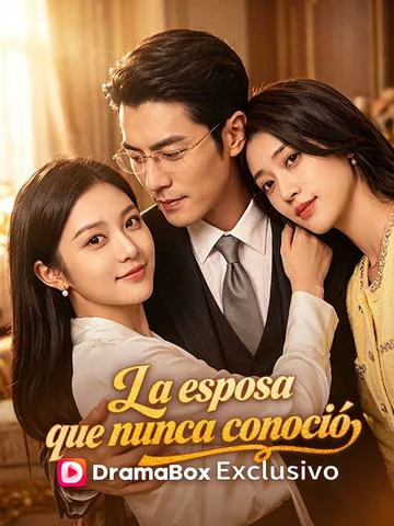 Póster de La esposa que nunca conoció