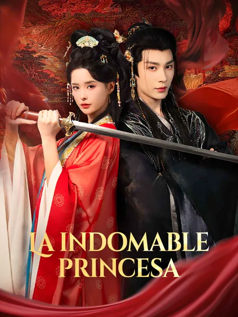 Póster de La indomable princesa