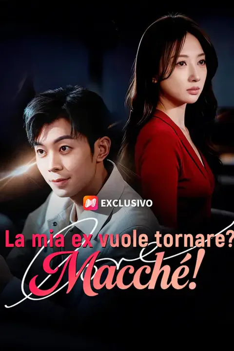 Locandina di La mia ex vuole tornare? Macché!