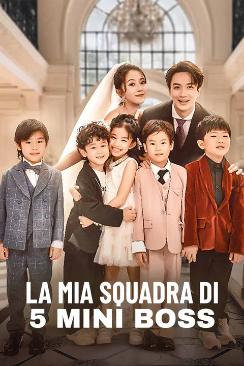 Locandina di La mia squadra di 5 mini boss