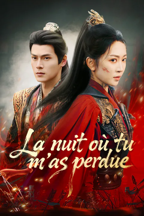 Affiche de La nuit où tu m'as perdue