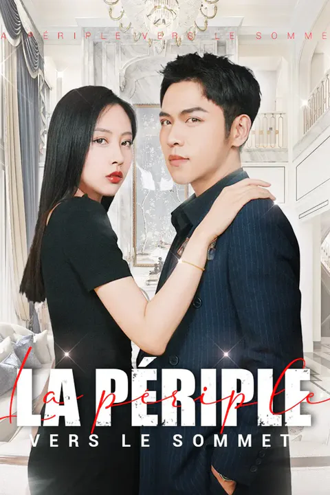 Affiche de La périple vers le sommet