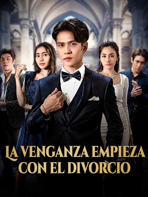 Póster de La venganza empieza con el divorcio