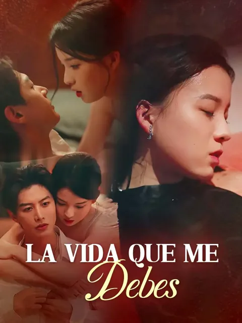 Póster de La Vida que me Debes