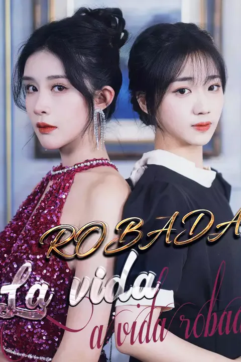 Póster de La vida robada